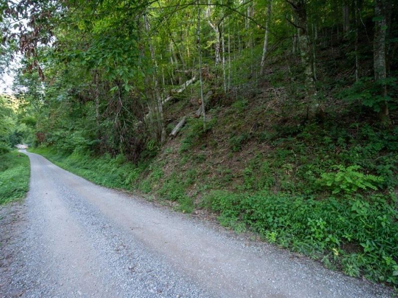 Own Your Own Mountain in East TN : Bybee : Cocke County : Tennessee