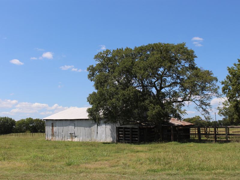 Walker Ranch : Richards : Grimes County : Texas