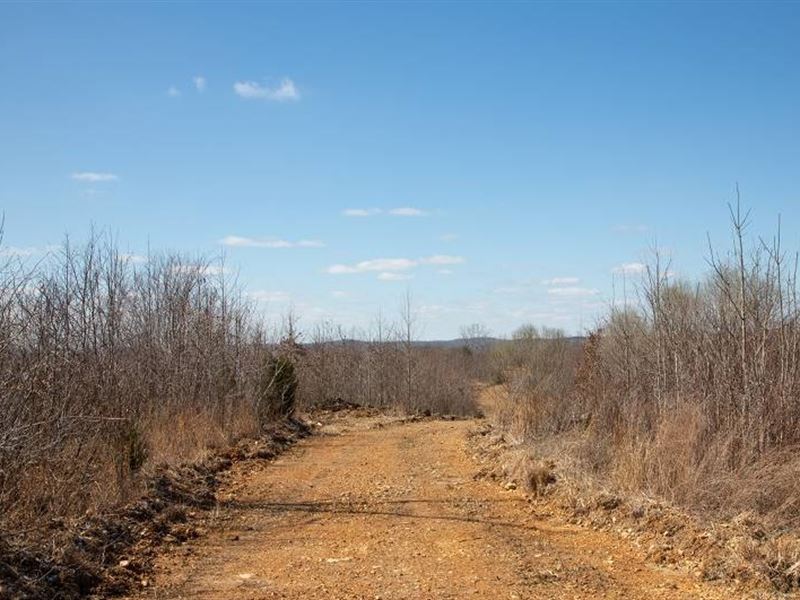 9.81 Acre in Perry County, TN : Linden : Perry County : Tennessee