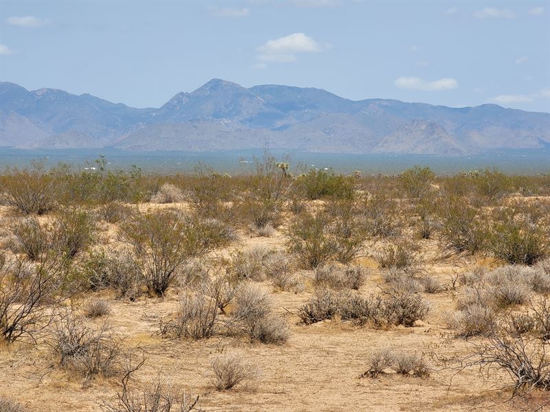 80 Acres Of Arizona Paradise : Yucca : Mohave County : Arizona