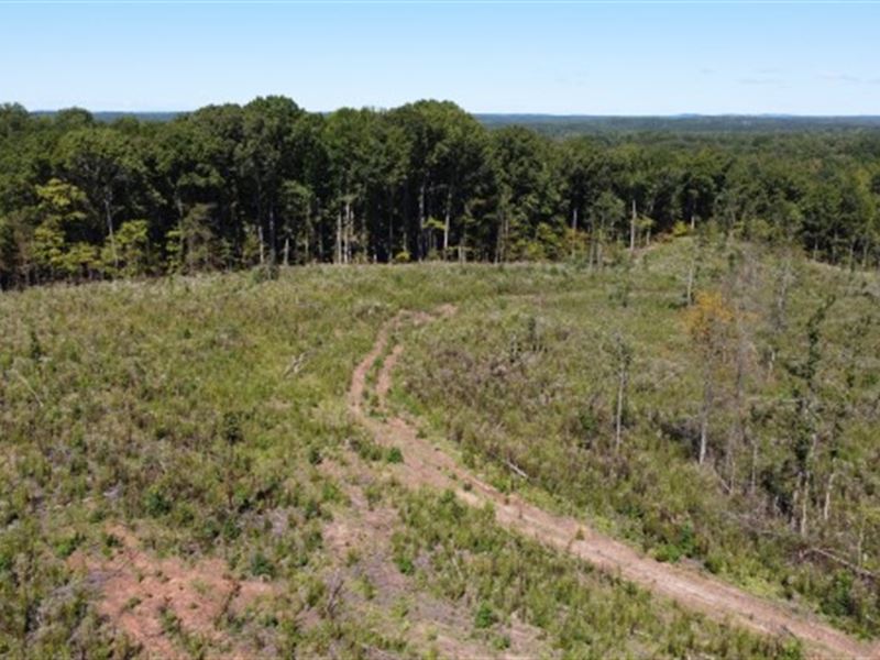 Spacious Land for Rural Living : Sharon : York County : South Carolina