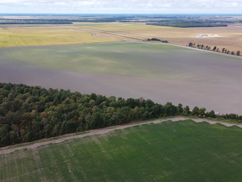 Investment Farm and Duck Hunting : Minturn : Lawrence County : Arkansas