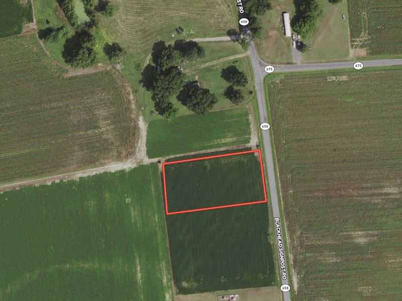 Reduced,.99 Acre Cleared Lot : Courtland : Southampton County : Virginia
