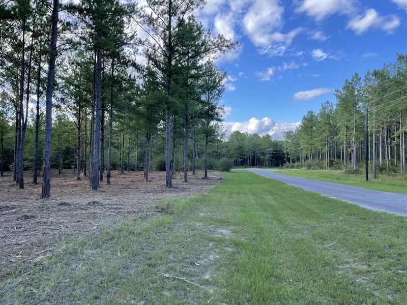 Patsaliga River Lot : Andalusia : Covington County : Alabama