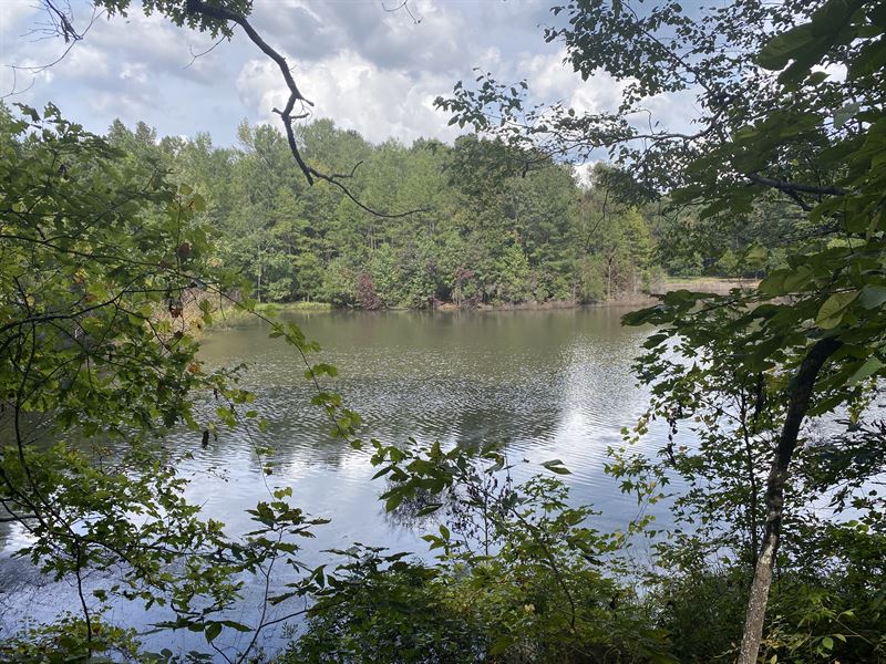 Beautiful 76 Acres with Nice Pond : Musella : Crawford County : Georgia