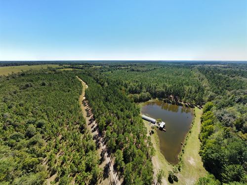Harley Pond Farm : Barnwell : South Carolina