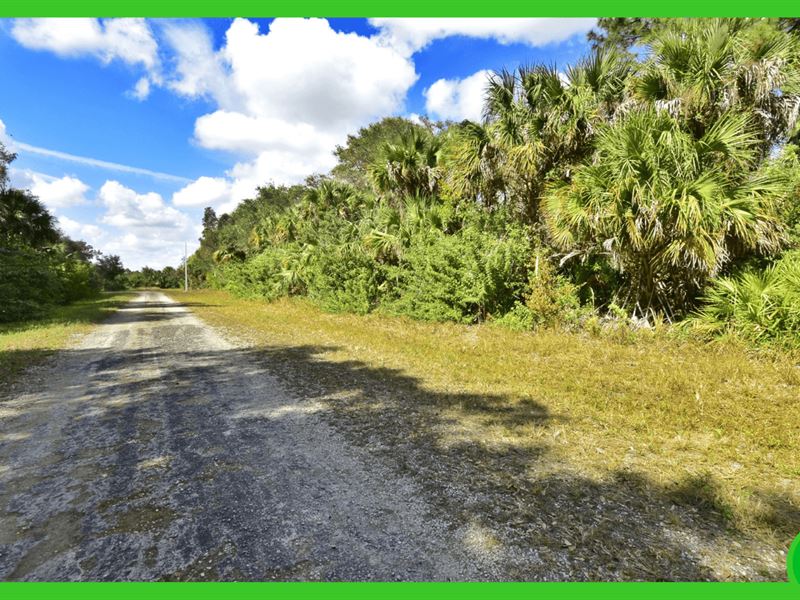 .25 Acre Property in Lee County : Fort Myers : Lee County : Florida
