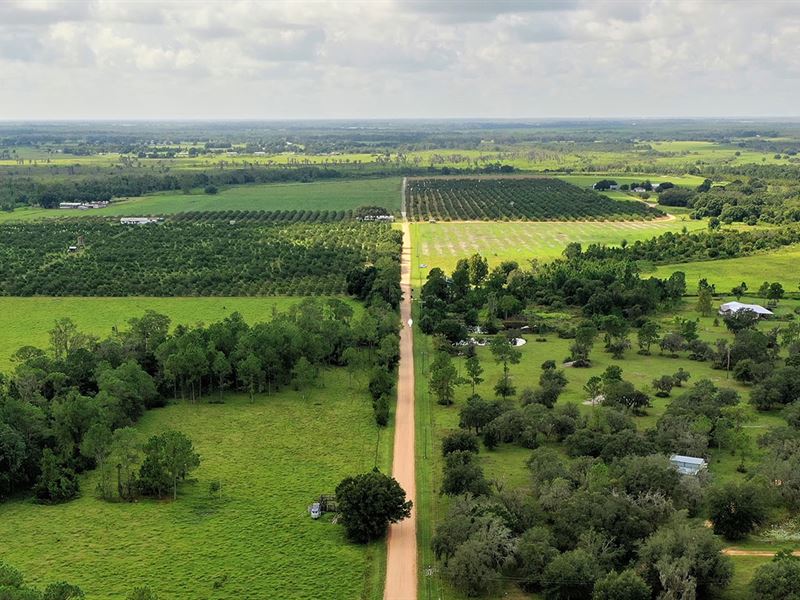 Campbell Road Farm and Homesite : Fort Meade : Polk County : Florida