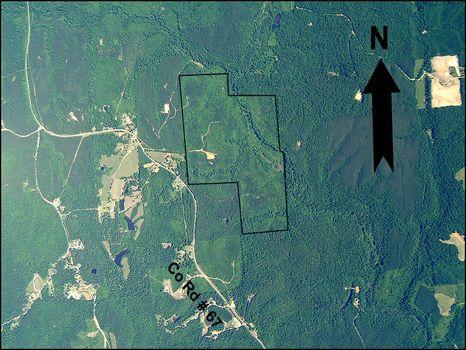 181 Acres : Fayette : Fayette County : Alabama