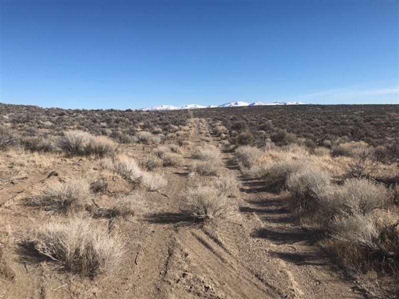 Your Gateway to Adventure : Elko : Elko County : Nevada
