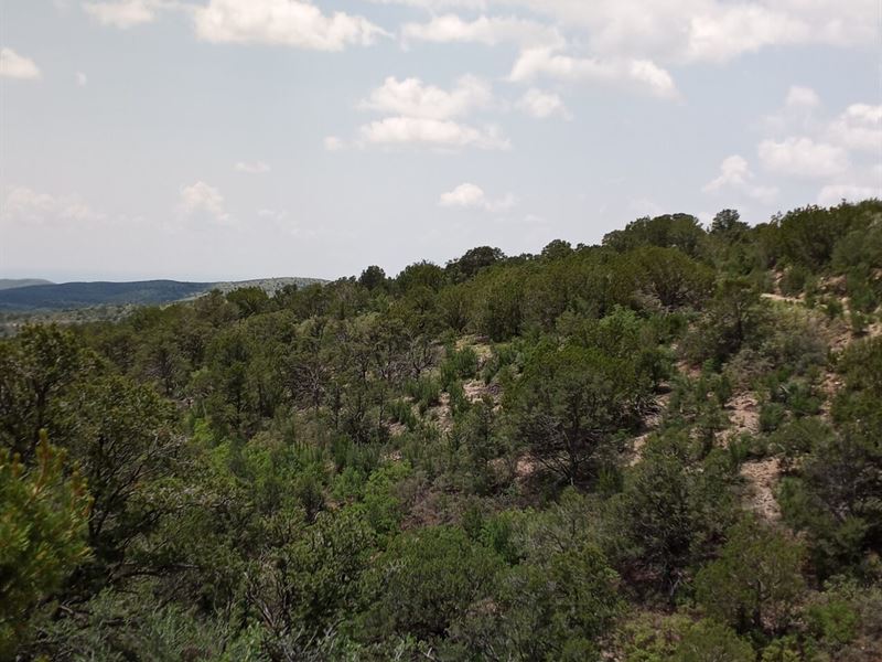 Private 3.1 Acre in Timberon, NM : Timberon : Otero County : New Mexico