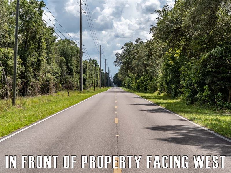 $5,900 Down, Near River & Springs : Trenton : Levy County : Florida