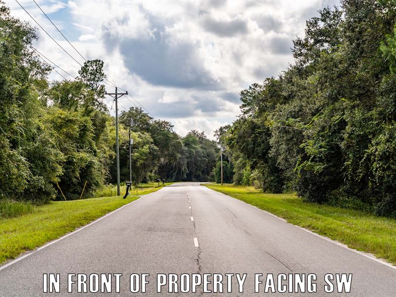 Owner Finance. Serene Country Land : Keystone Heights : Clay County : Florida