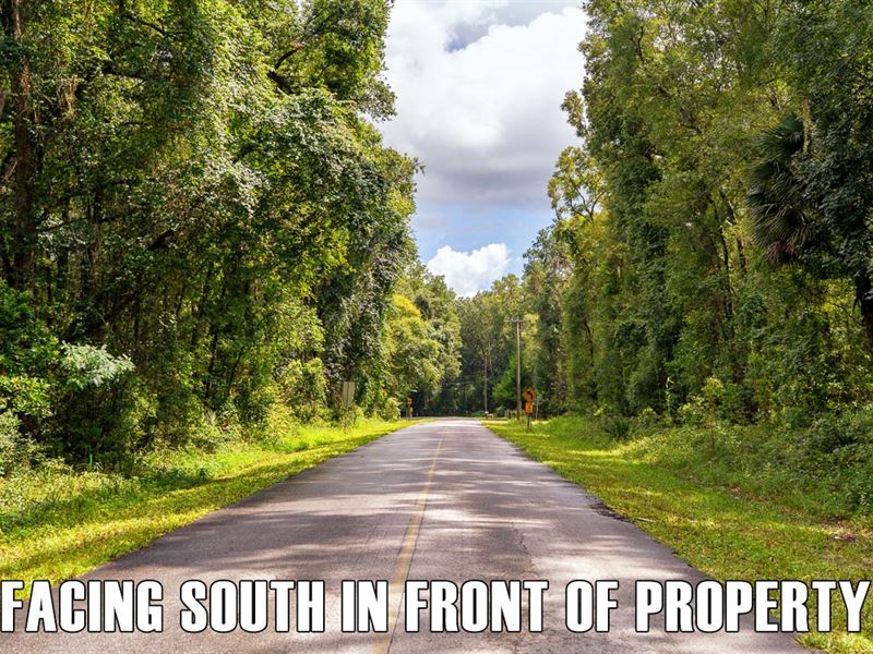 $4,900 Down, Seller Finance : Old Town : Dixie County : Florida