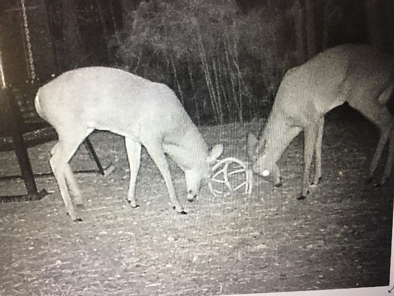 149 Ac Recreation Jefferson Co FL : Monticello : Jefferson County : Florida