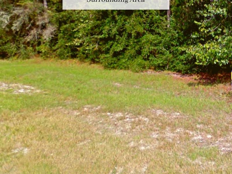.65 Ac Only $1Down, $399/Mo : Live Oak : Suwannee County : Florida