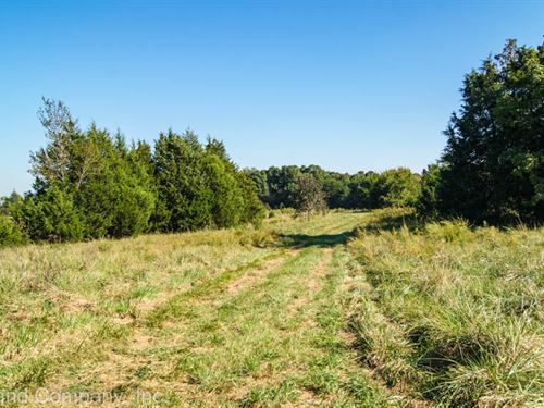 Country Estate Or Small Farm : Gray Court : Laurens County : South Carolina
