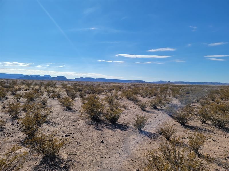 40 Acres Near Big Bend Park : Alpine : Brewster County : Texas