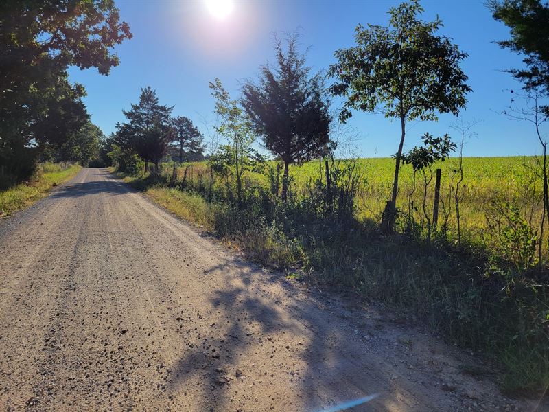 Southern Missouri Land for Sale : Mountain Grove : Texas County : Missouri