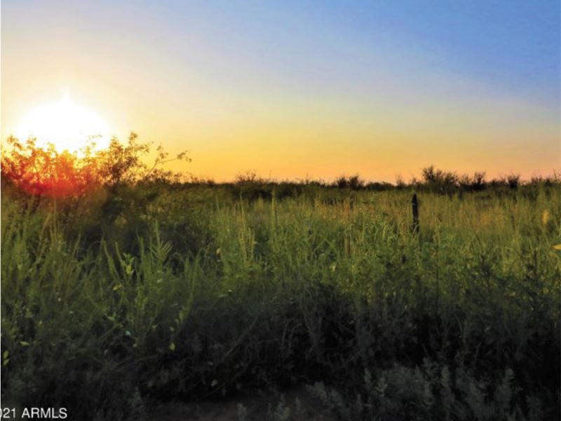Reduced, 30 AC Vineyards & Farmland : Willcox : Cochise County : Arizona