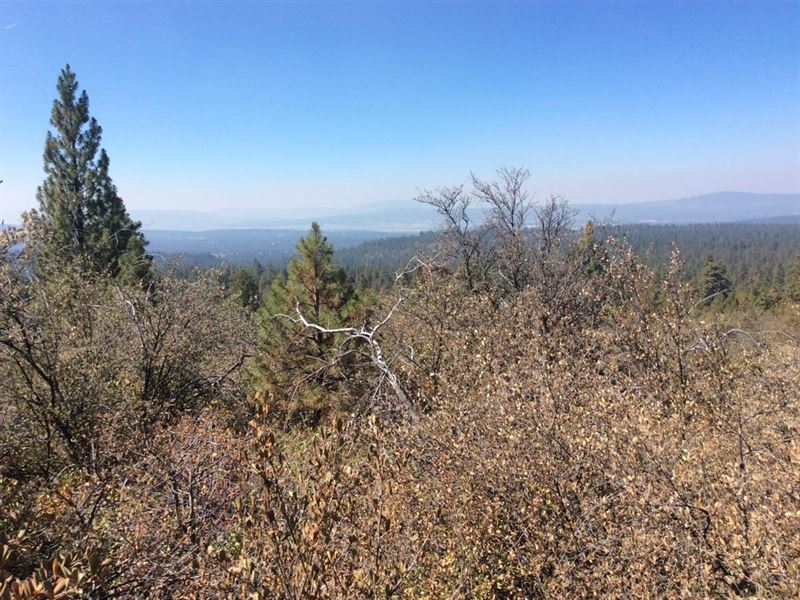 2+ Ac Wooded Lot with Amazing Views : Bonanza : Klamath County : Oregon