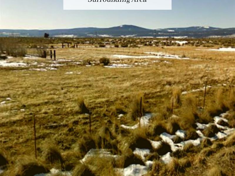 1.078 Acres, Only $1 Down, $199/Mo : Alturas : Modoc County : California