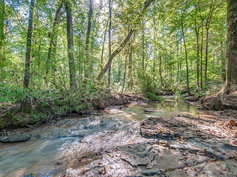 119 Ac of Gentle Rolling Hardwoods : Santa Fe : Maury County : Tennessee
