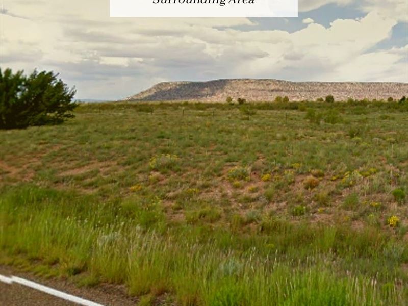 .08 Only $1 Down, $299/Mo : Las Vegas : San Miguel County : New Mexico
