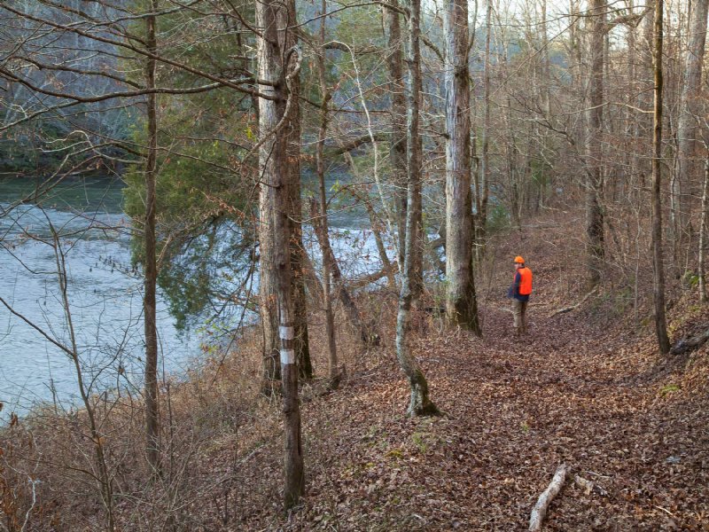 80 Ac Beauty on Cahaba River : Montevallo : Shelby County : Alabama