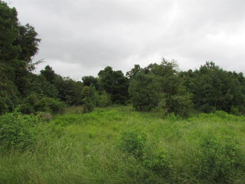 22 Acres in North Lowndes County : Hahira : Lowndes County : Georgia