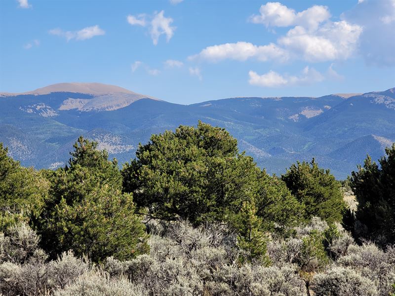 Wooded Lot in Wild Horse Mesa : San Luis : Costilla County : Colorado