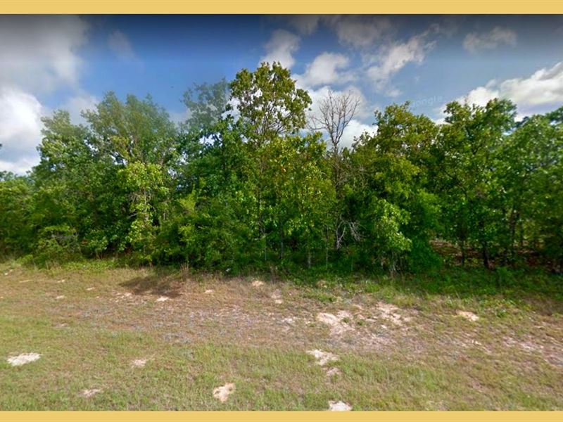 .38 Acre Calhoun County, FL : Altha : Calhoun County : Florida