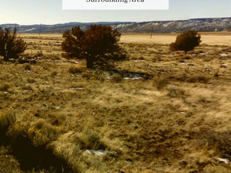 1.213 Acres Only $1Down, $399/Mo : Alturas : Modoc County : California
