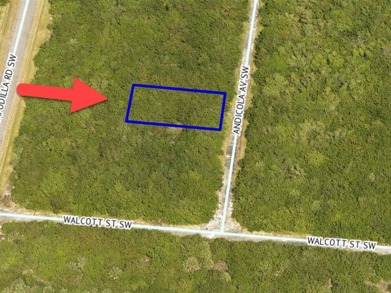 Affordable Lot Nearby Cocoa Beach : Palm Bay : Brevard County : Florida