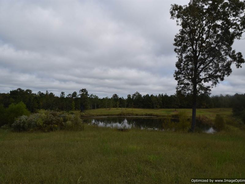 Beautiful 100 +/- Acres with Lake : Camden : Madison County : Mississippi
