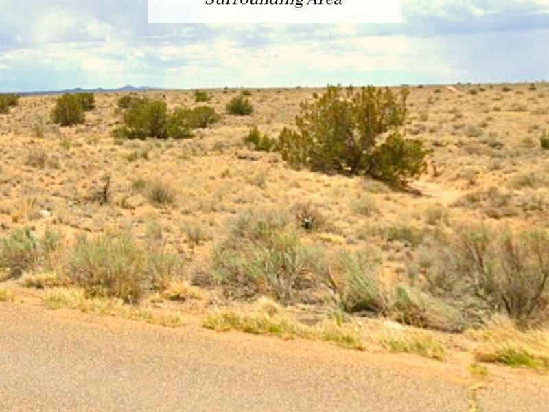 1.12 Acres, Only $1 Down, $199/Mo : Rio Rancho : Sandoval County : New Mexico