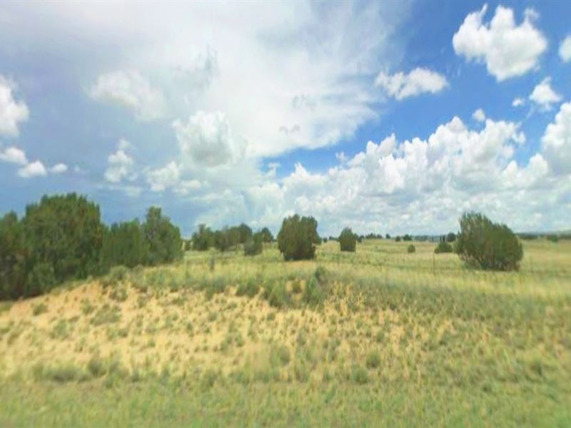 Wow, Impressive Acreage Awaits : Douglas : Apache County : Arizona