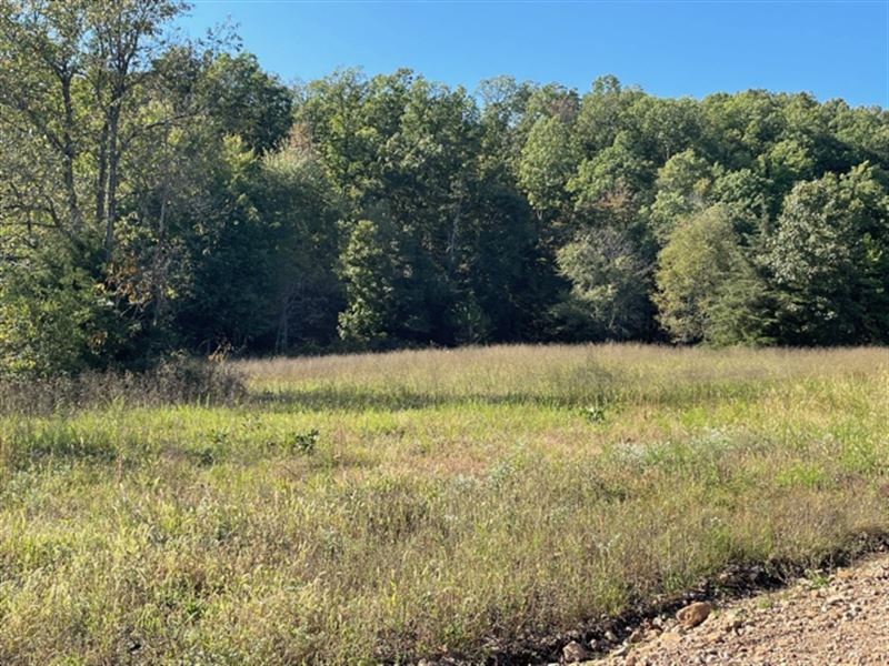 Southern Missouri Land for Sale : Cabool : Texas County : Missouri