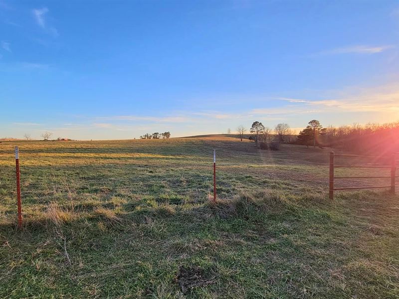 Land for Sale in Southern Missouri : Mountain Grove : Douglas County : Missouri