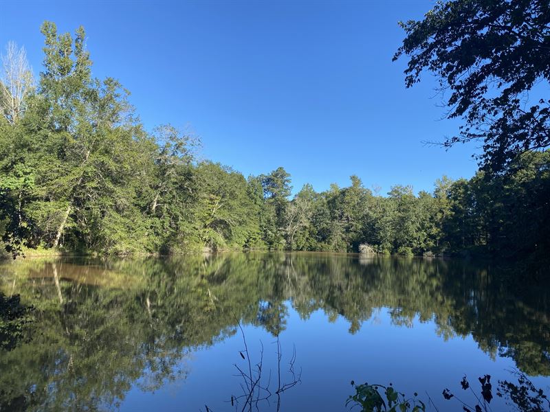 Pond with Cabin : Macon : Jones County : Georgia