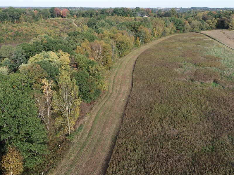 65 Acres Trempealeau County : Whitehall : Trempealeau County : Wisconsin