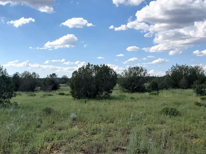 1.79 Acres in Ash Fork, Public Land : Williams : Coconino County : Arizona