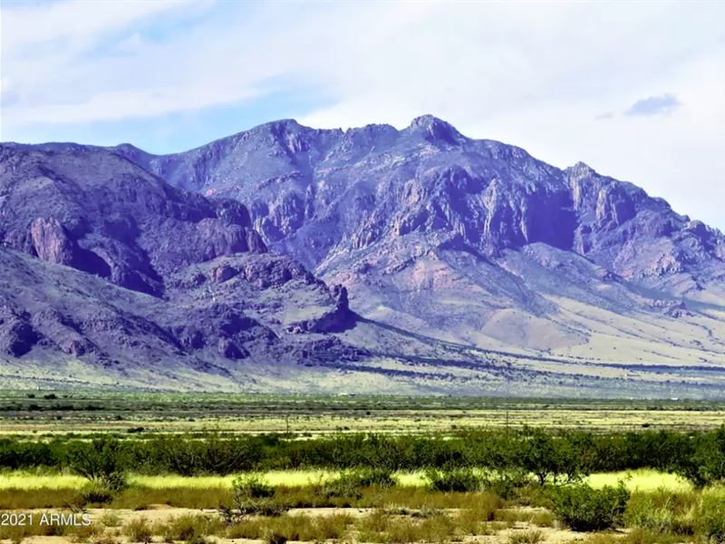 41 Ac Mountains, Invest & Subdivide : Portal : Cochise County : Arizona