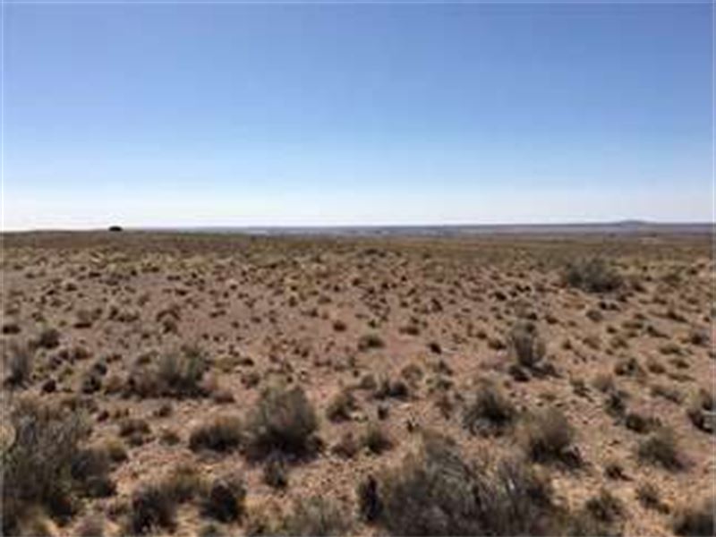 Next to Petrified National Park : Sanders : Apache County : Arizona