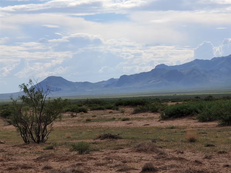 .85 Acre Legacy Only $77 Monthly : Pearce : Cochise County : Arizona
