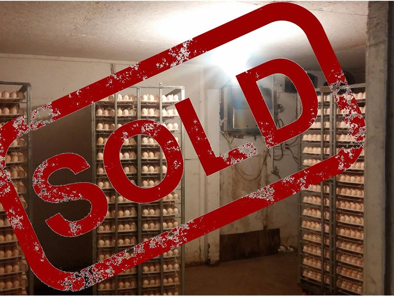 Breeder Egg Farm with 10 Ac & Home : Bradley : Lafayette County : Arkansas