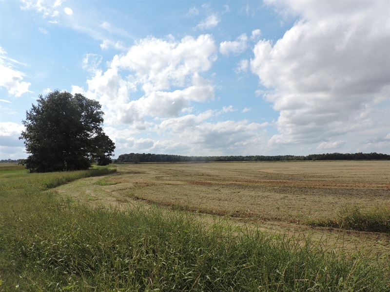 Rice & Bean Land in Fisher, AR : Fisher : Poinsett County : Arkansas