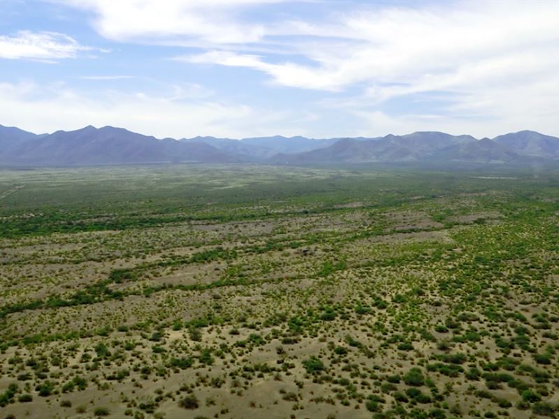 Send Best Offer, Motivated Seller : McNeal : Cochise County : Arizona