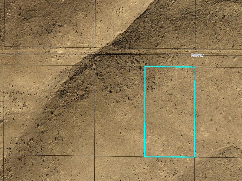 1.14 Acres in Elko County, Nevada : Osino : Elko County : Nevada