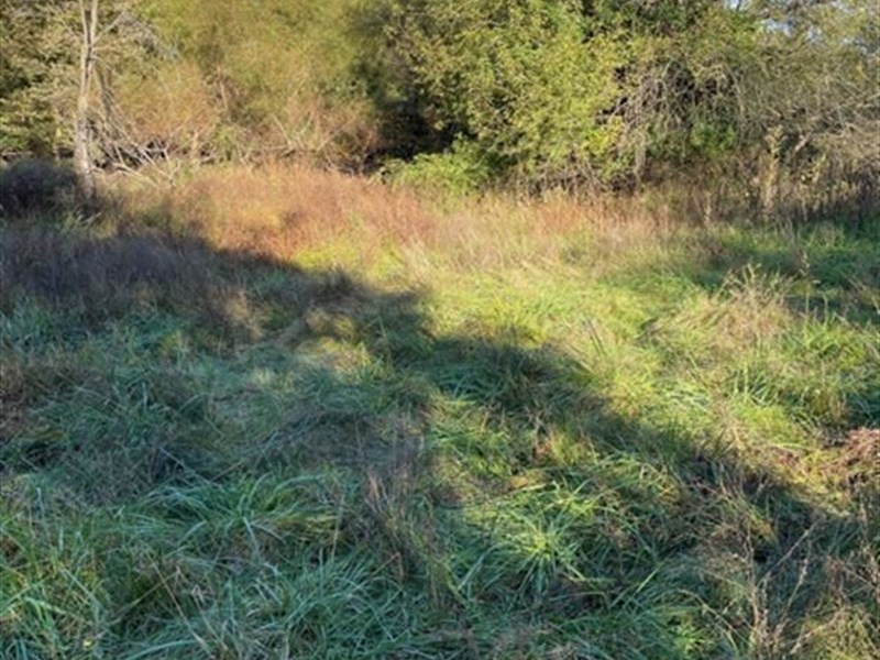 Acreage in Kansas City, MO for Sale : Kansas City : Platte County : Missouri